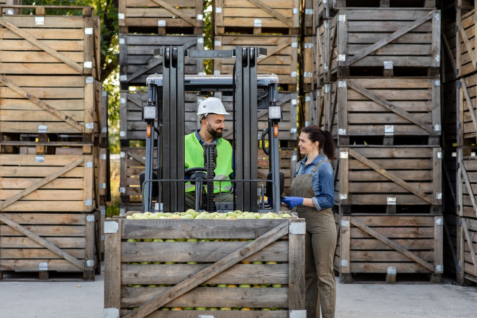 Logistica integrata conto terzi | Scegli Trial Srl