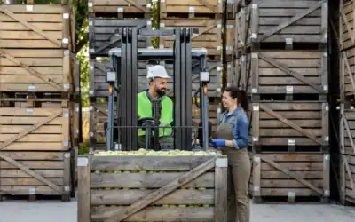 Alla gestione della logistica integrata conto terzi ci pensiamo noi di Trial Srl!